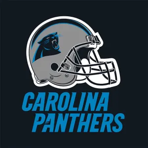 Bulk Carolina Panthers Luncheon Napkins (192 per Case)