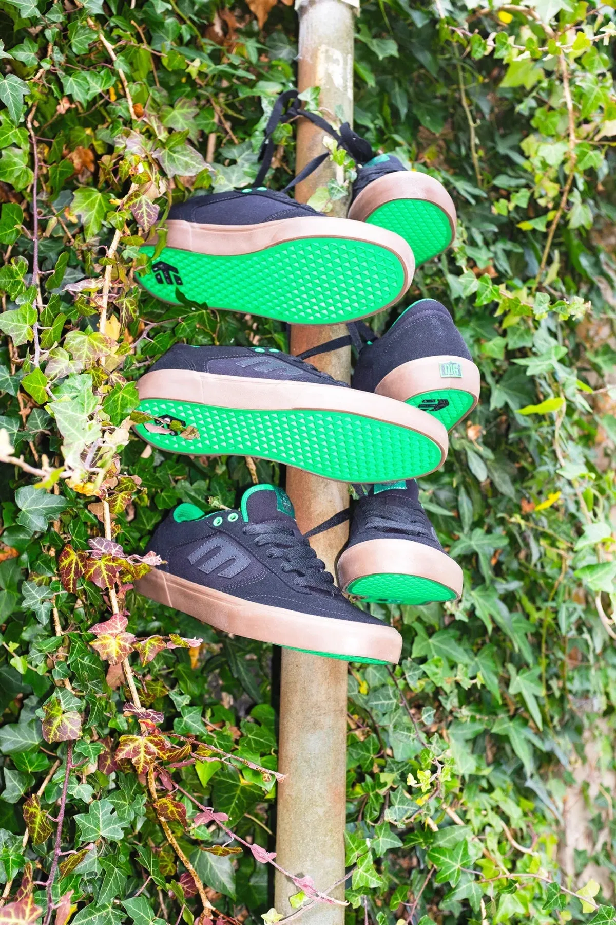 Etnies Windrow Vulc x Dig Green / Black