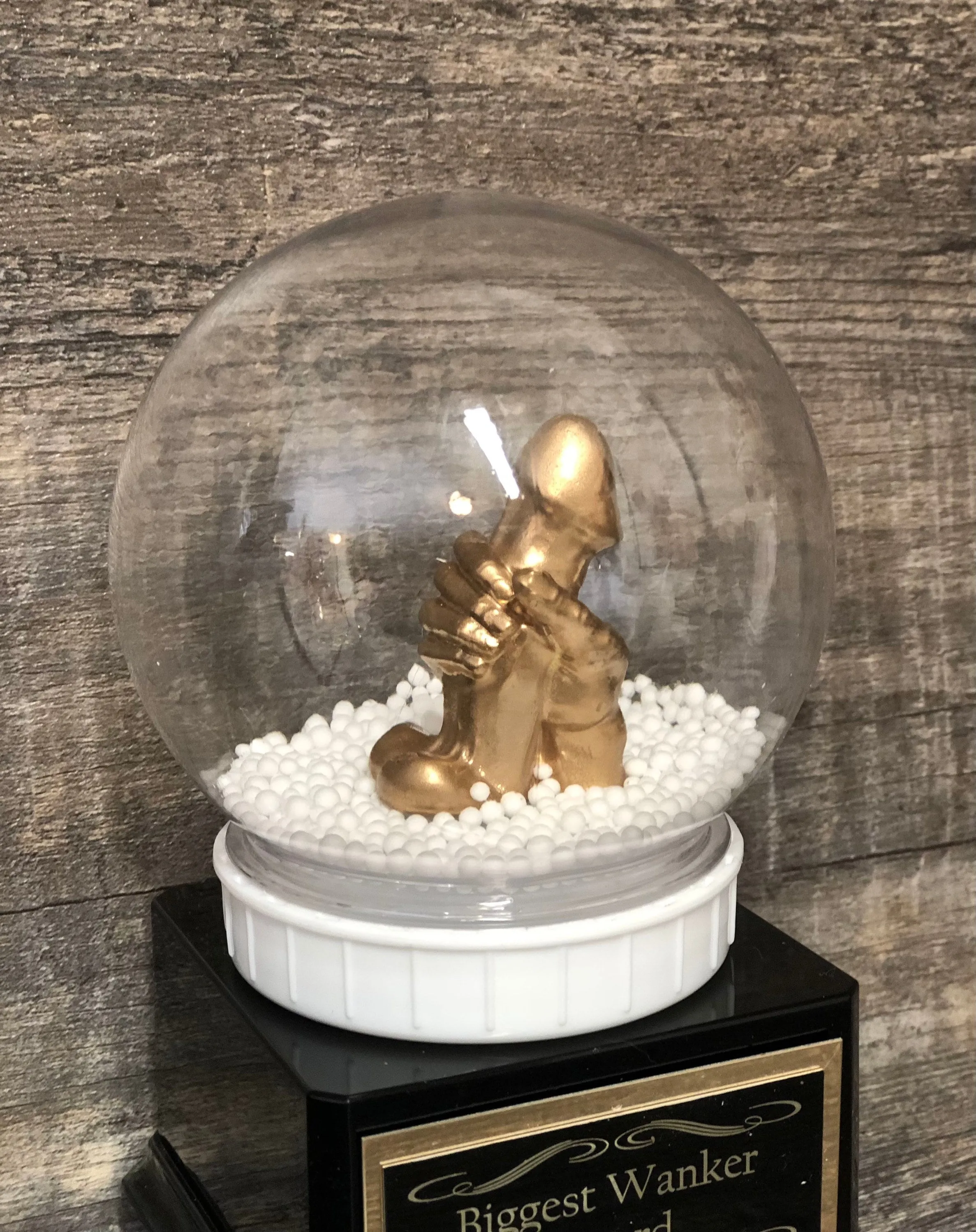 WANKER Snow Globe Funny Trophy Award You're A Dick Biggest Wanker Trophy Adult Humor FFL LOSER Trophy Secret Santa Funny Gag Gift Penis