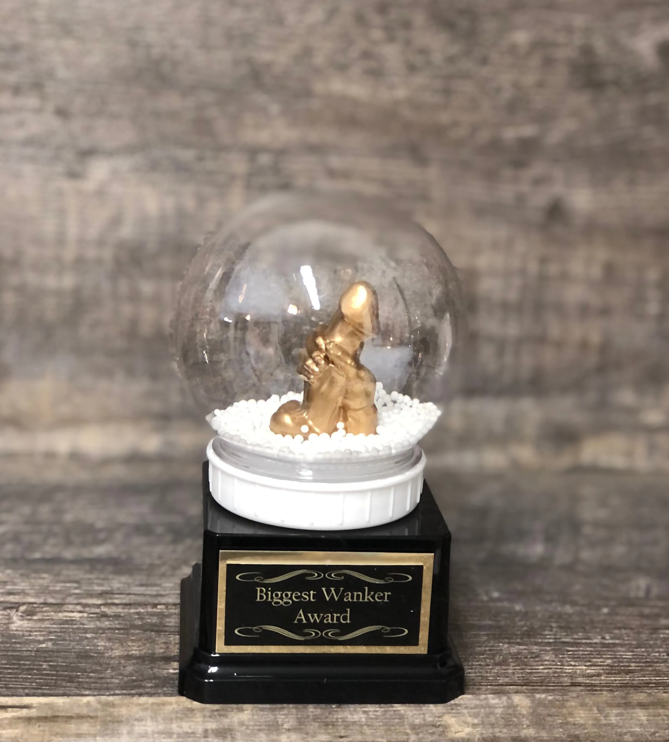 WANKER Snow Globe Funny Trophy Award You're A Dick Biggest Wanker Trophy Adult Humor FFL LOSER Trophy Secret Santa Funny Gag Gift Penis